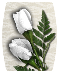 DAREC-060 2 Roses White